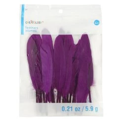 Best deal ✔️ Craft Goose Feathers by Creatology™ 🛒