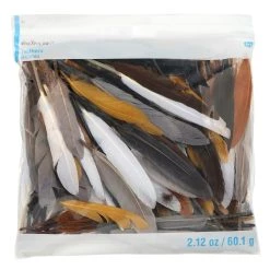 Budget 😉 12 Pack: Neutral Craft Goose Feathers by Creatology™ 🌟 -Cheap Creatology Store 10684508 1 1