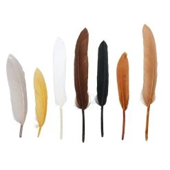 Budget 😉 12 Pack: Neutral Craft Goose Feathers by Creatology™ 🌟