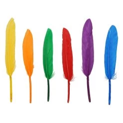 Buy ⭐ 12 Pack: Rainbow Craft Goose Feathers by Creatology™ 😉