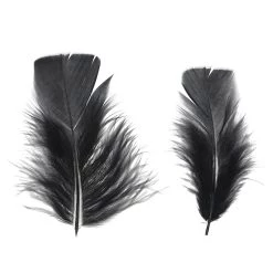Flash Sale 🔥 Turkey Feathers by Creatology™ ❤️ -Cheap Creatology Store 10684513 2