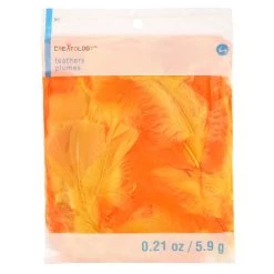 Brand new 😀 Orange Craft Turkey Feathers by Creatology™ 🛒