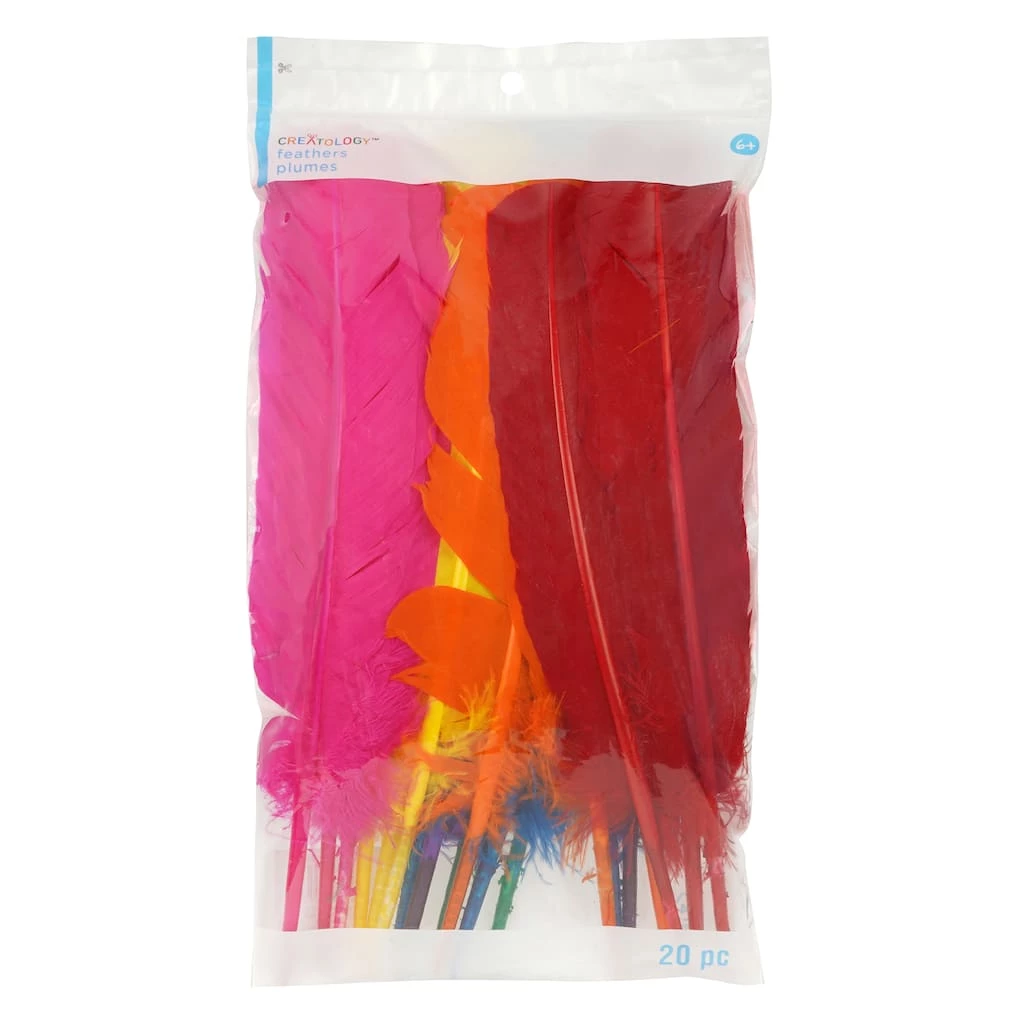 Cheapest 🤩 12 Packs: 20 ct. (240 total) Mixed Quill Feathers by Creatology™ 🤩 5 Cheapest 🤩 12 Packs: 20 ct. (240 total) Mixed Quill Feathers by Creatology™ 🤩 - Image 3