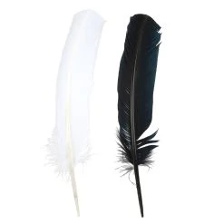 Cheap 🧨 12 Packs: 20 ct. (240 total) Black & White Quill Feathers by Creatology™ 🤩