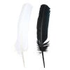 New 🎁 Black & White Quill Feather Mix by Creatology™ 🥰 -Cheap Creatology Store 10684843 2