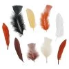 Coupon ⌛ Neutral Feathers Value Pack by Creatology™ 🎉 -Cheap Creatology Store 10684859 2