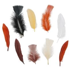 Coupon ⌛ Neutral Feathers Value Pack by Creatology™ 🎉