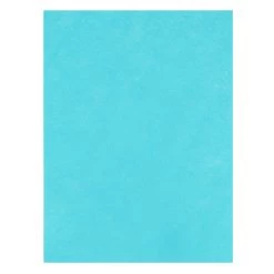 Budget 😍 9" x 12" Light Blue Felt Sheets by Creatology™, 15ct. 💯